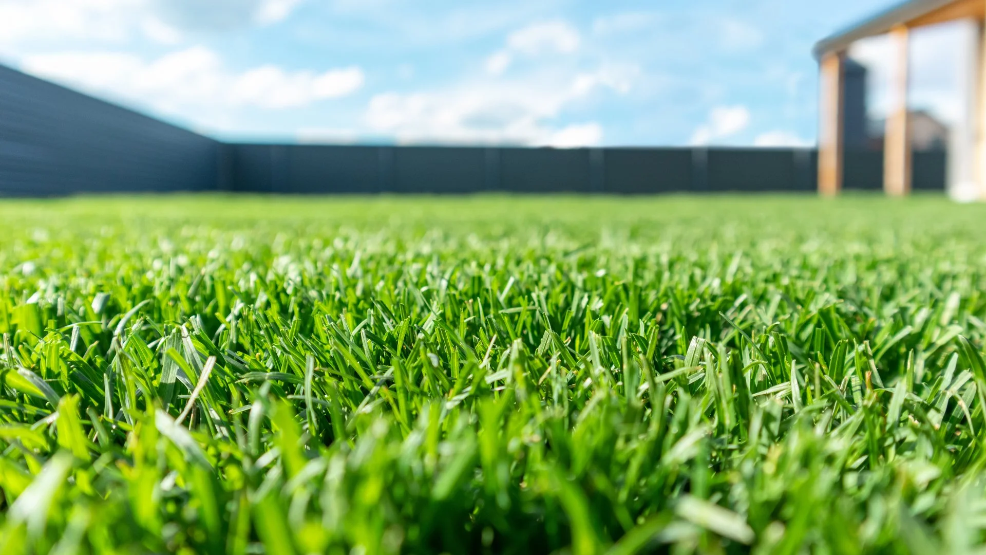 Should You Pair Spring Fertilization With Any Other Lawn Care Treatments?