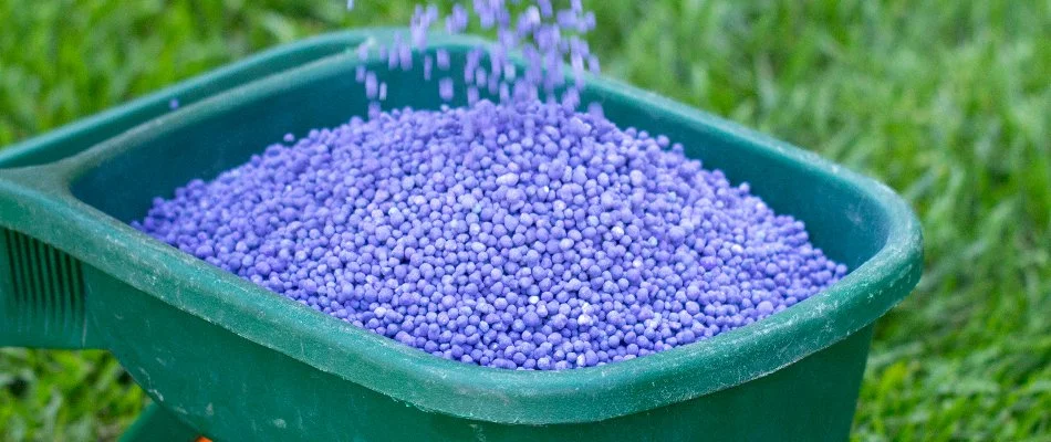 Granular fertilizer on a container for a lawn in Columbus, OH.